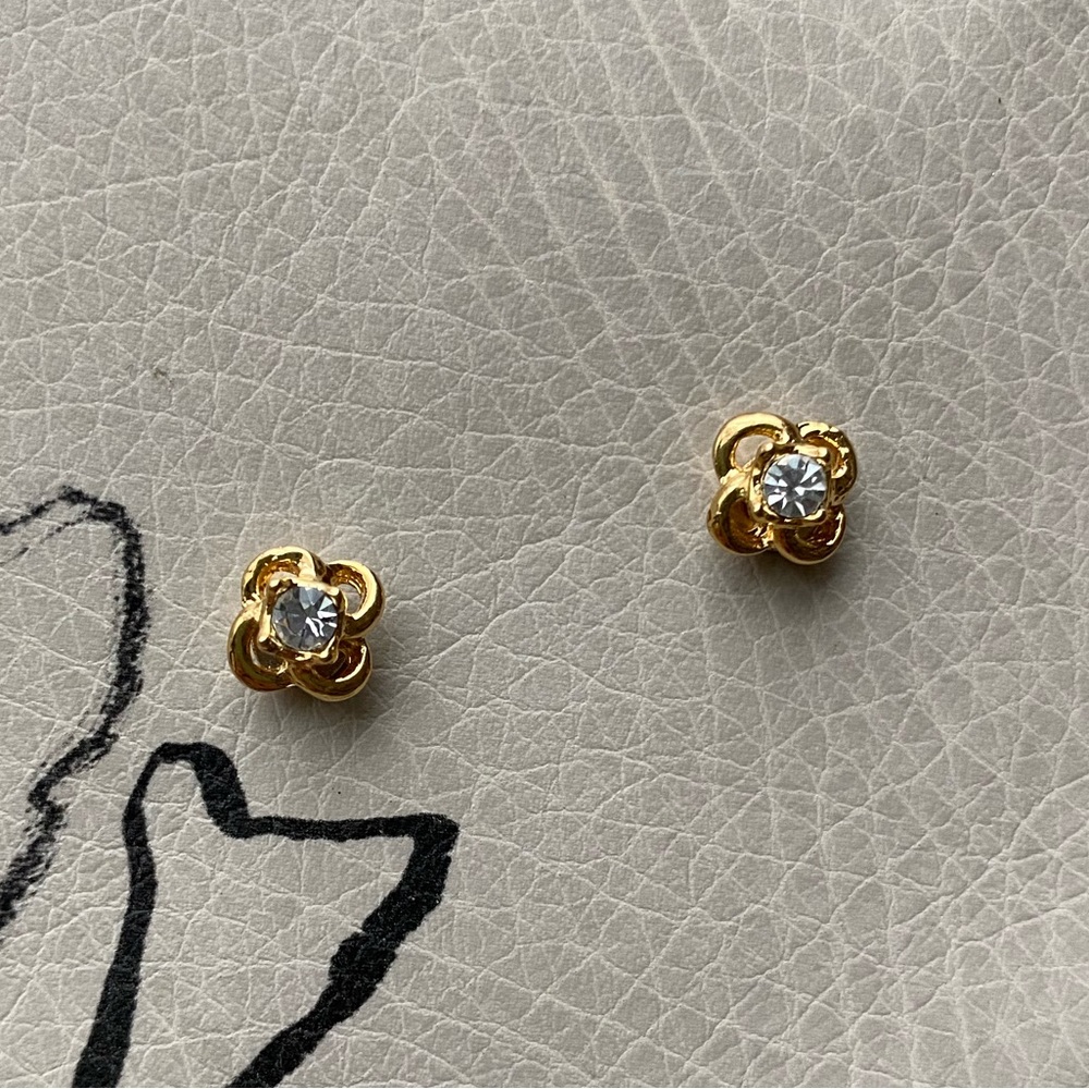 Magnetic Earrings